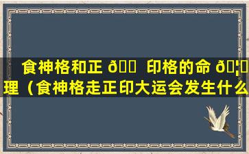 食神格和正 🐠 印格的命 🦟 理（食神格走正印大运会发生什么事）